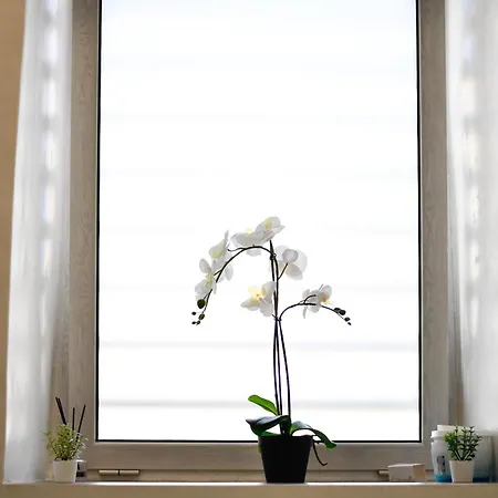 Di Vaio S Adiacente Metro Rione Alto 4*