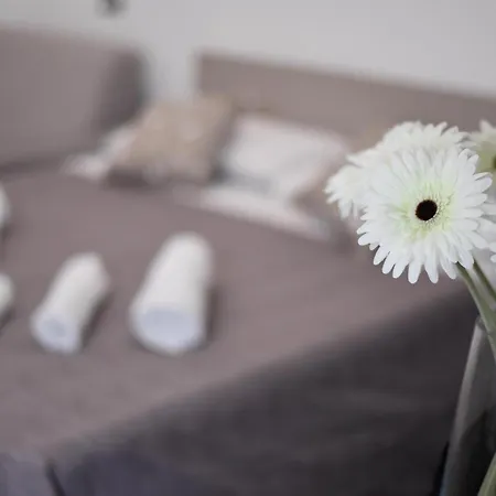 Di Vaio S Adiacente Metro Rione Alto 4*